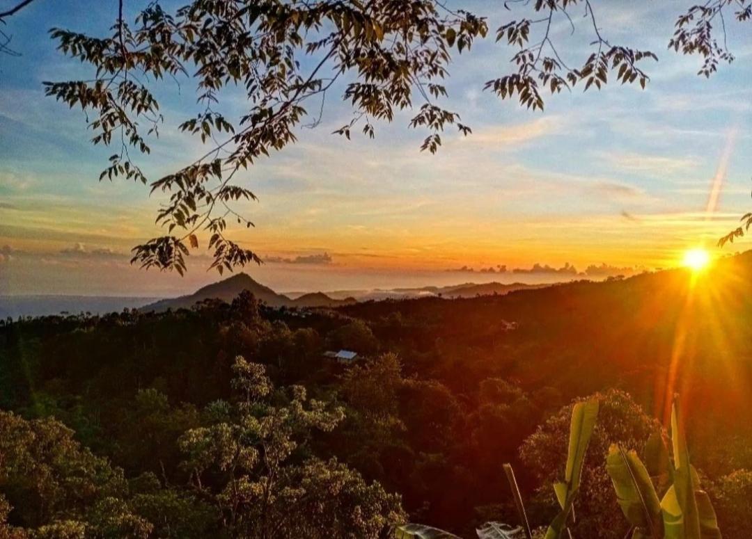 Wanagiri Campsite Gitgit Dış mekan fotoğraf